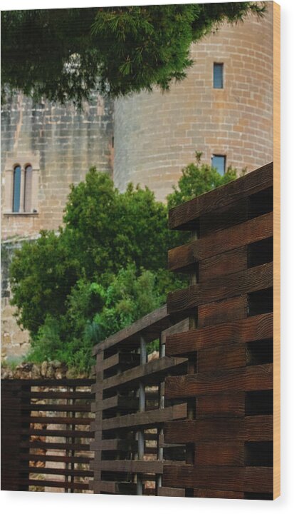 Spain Castle V - Wood Print