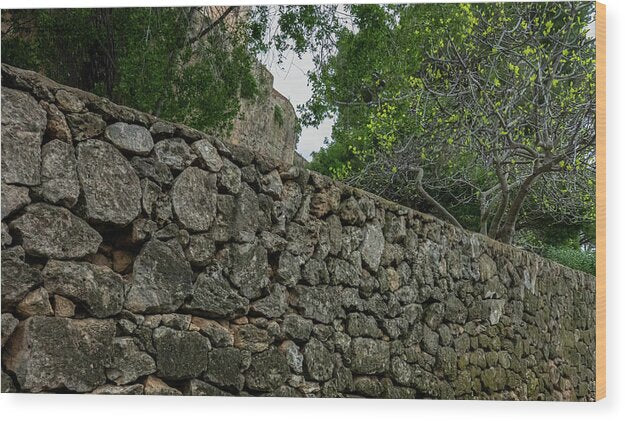 Spain Castle VII - Wood Print