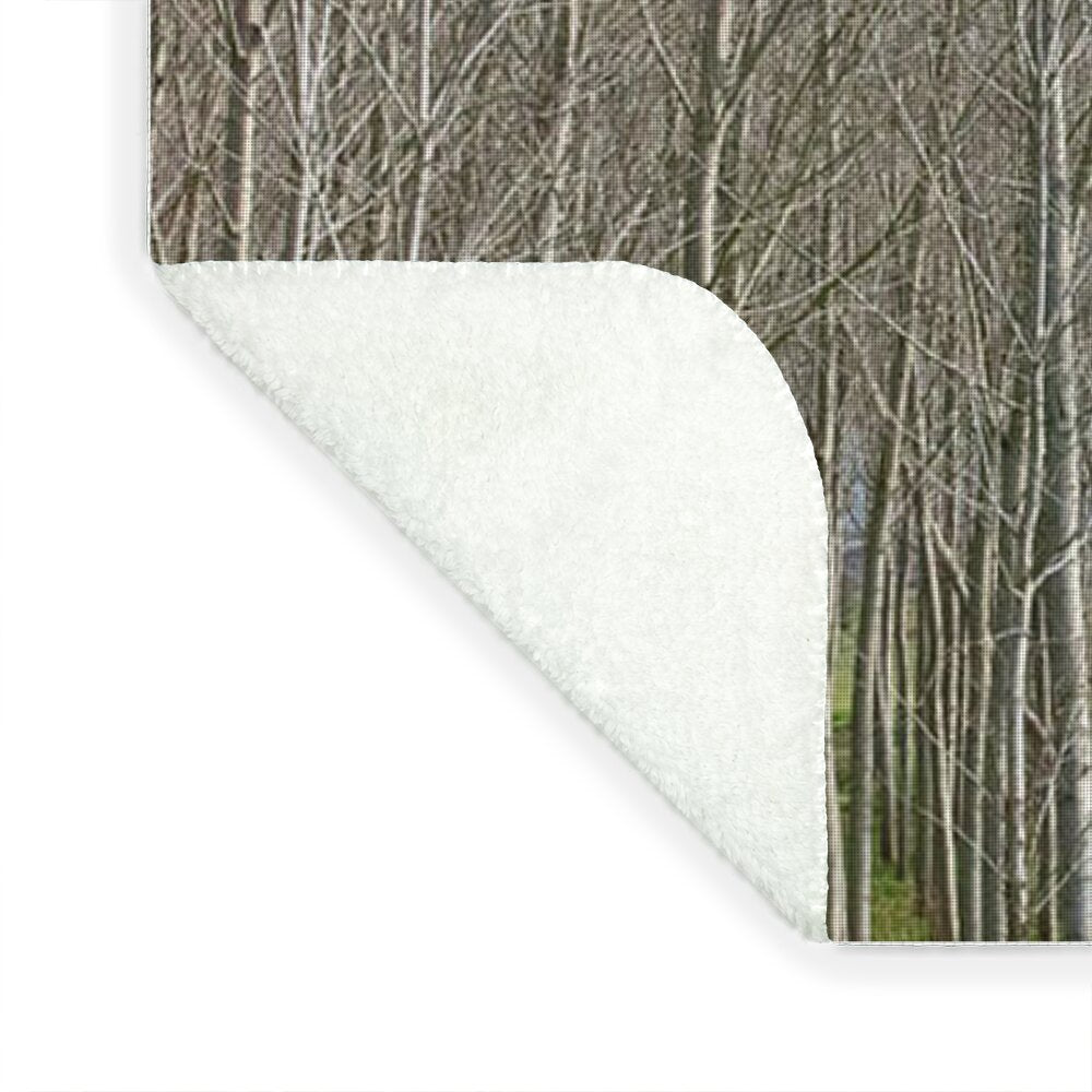 Treeline Italy - Blanket