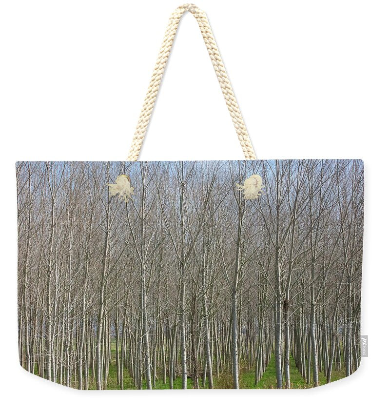 Treeline Italy - Weekender Tote Bag