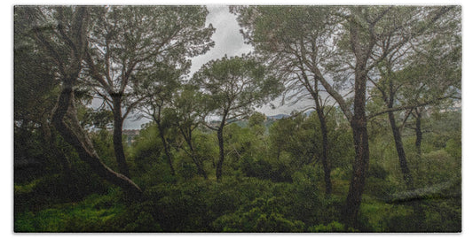 Hillside View from Spain Castle Gardens II - Beach Towel