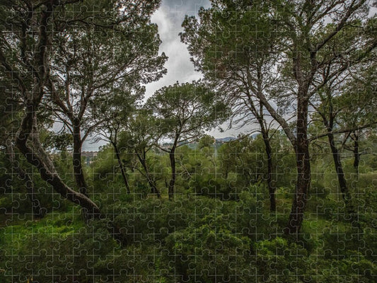 Hillside View from Spain Castle Gardens II - Puzzle