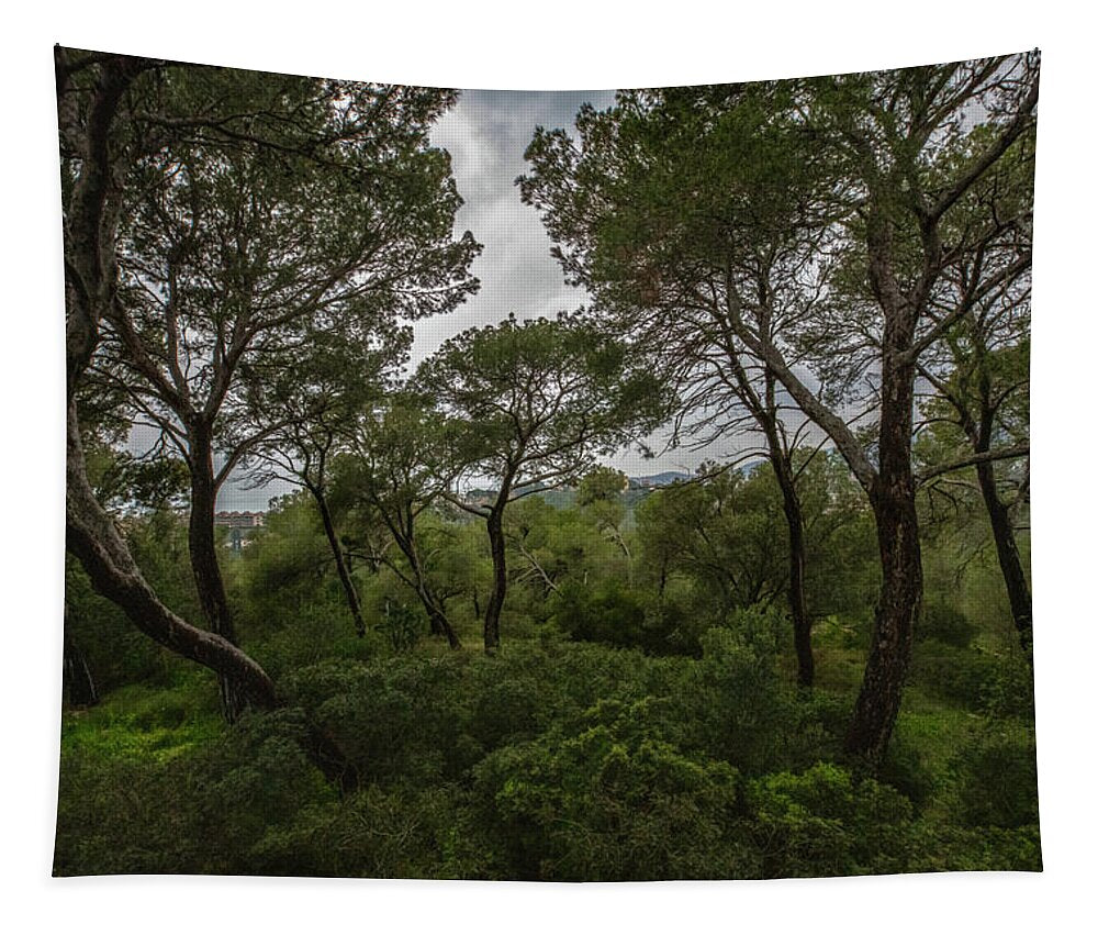 Hillside View from Spain Castle Gardens II - Tapestry