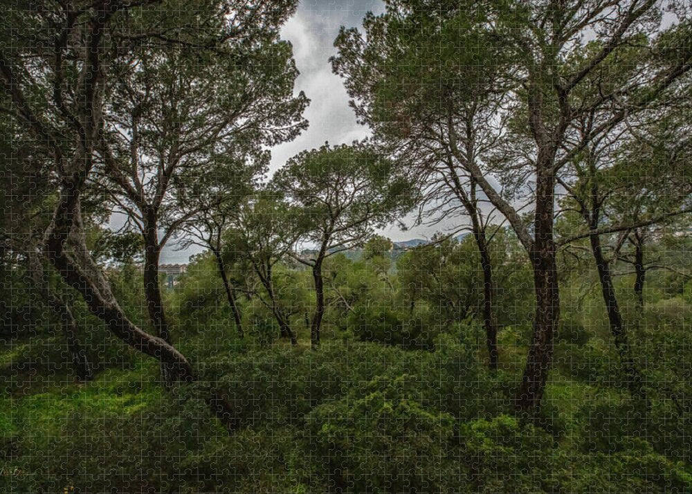 Hillside View from Spain Castle Gardens II - Puzzle