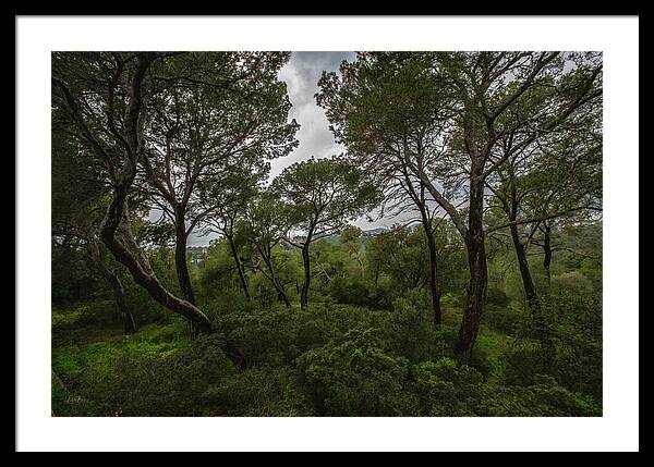 Hillside View from Spain Castle Gardens II - Framed Print