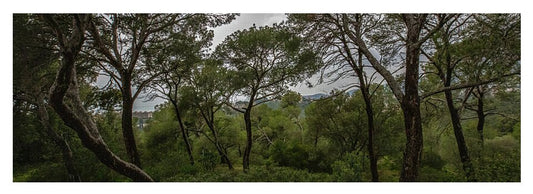 Hillside View from Spain Castle Gardens II - Yoga Mat