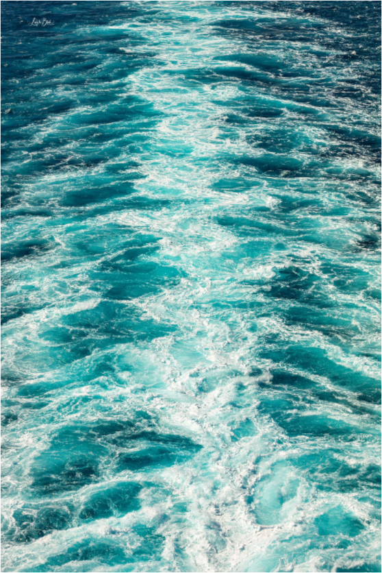 Main image Off the Coastal Waters of Italy