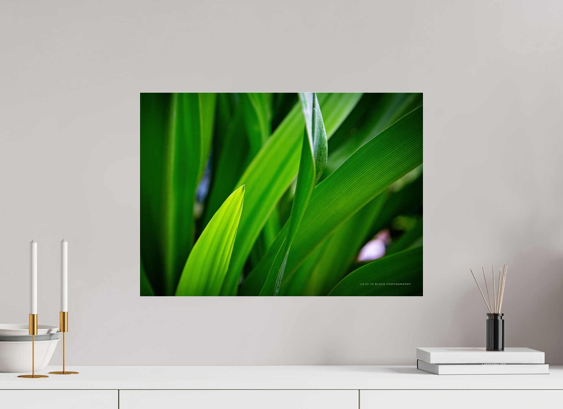 22.2 x 16″, Photo Print Under Acrylic Glass Blades of Peace