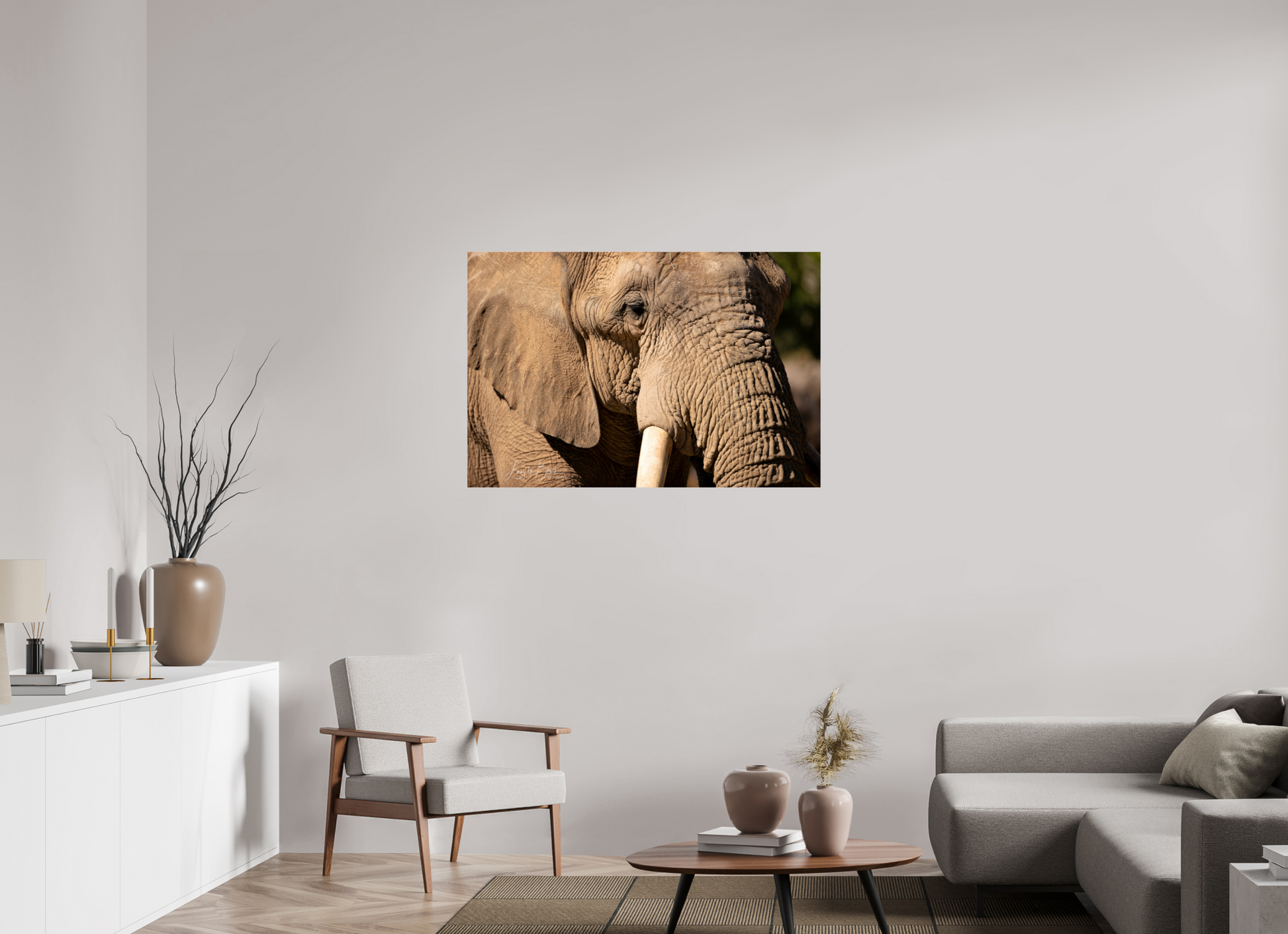 45 x 30″, Photo Print Under Acrylic Glass Ellie The Elephant