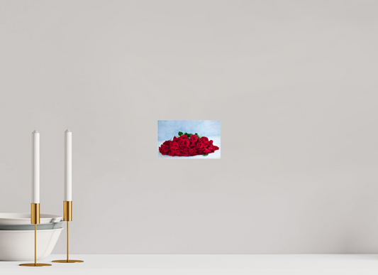 6.6 x 4″, Photo Print Under Acrylic Glass Roses