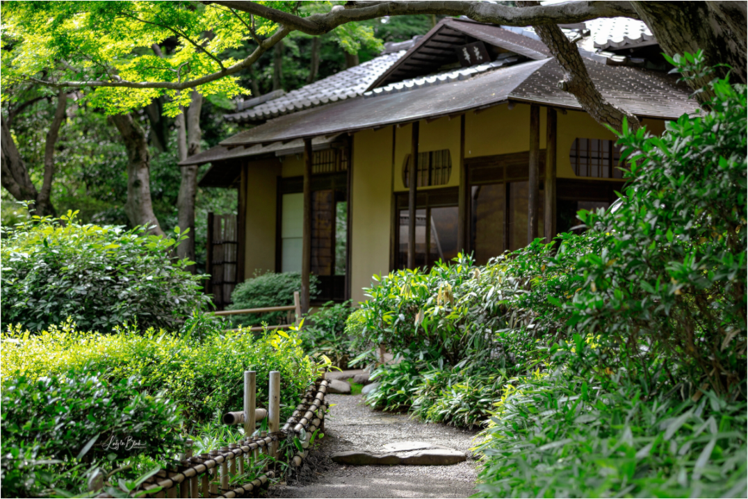 Main image Gardens of Tokyo VI