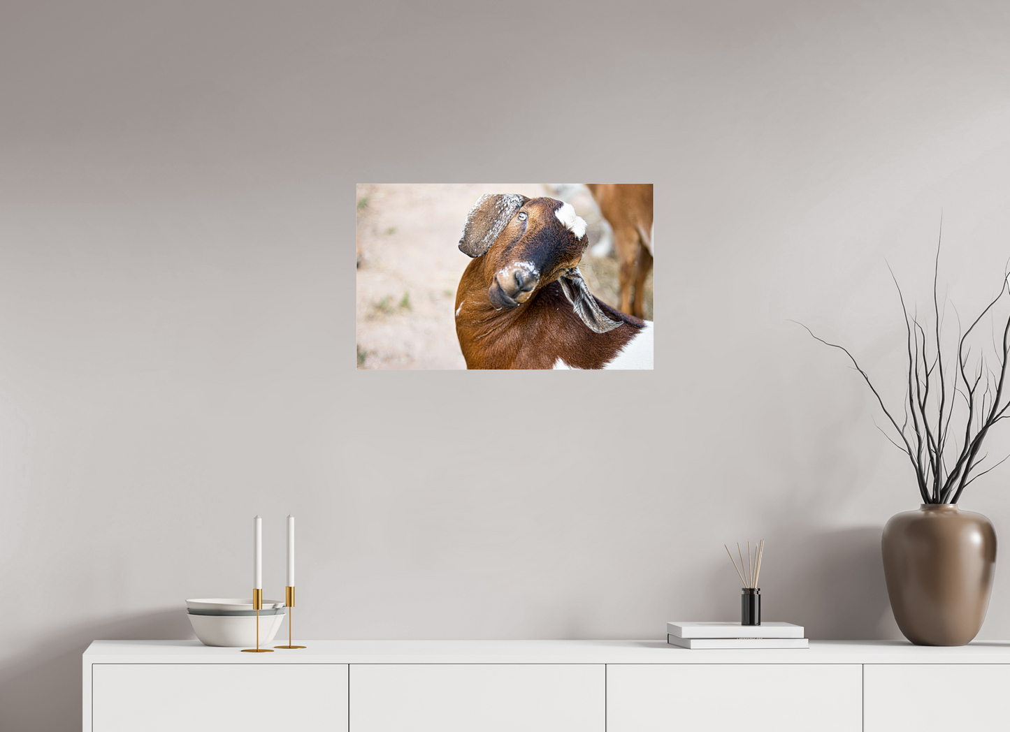 25.5 x 16″, Photo Print Under Acrylic Glass Goat Cheeeese