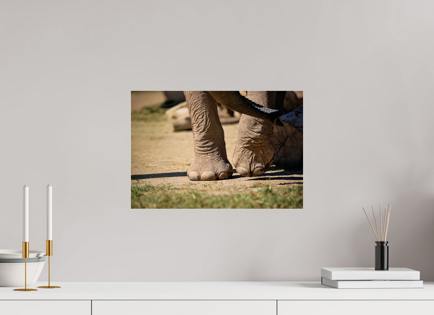 17.6 x 12″, Photo Print Under Acrylic Glass Ellie Struts