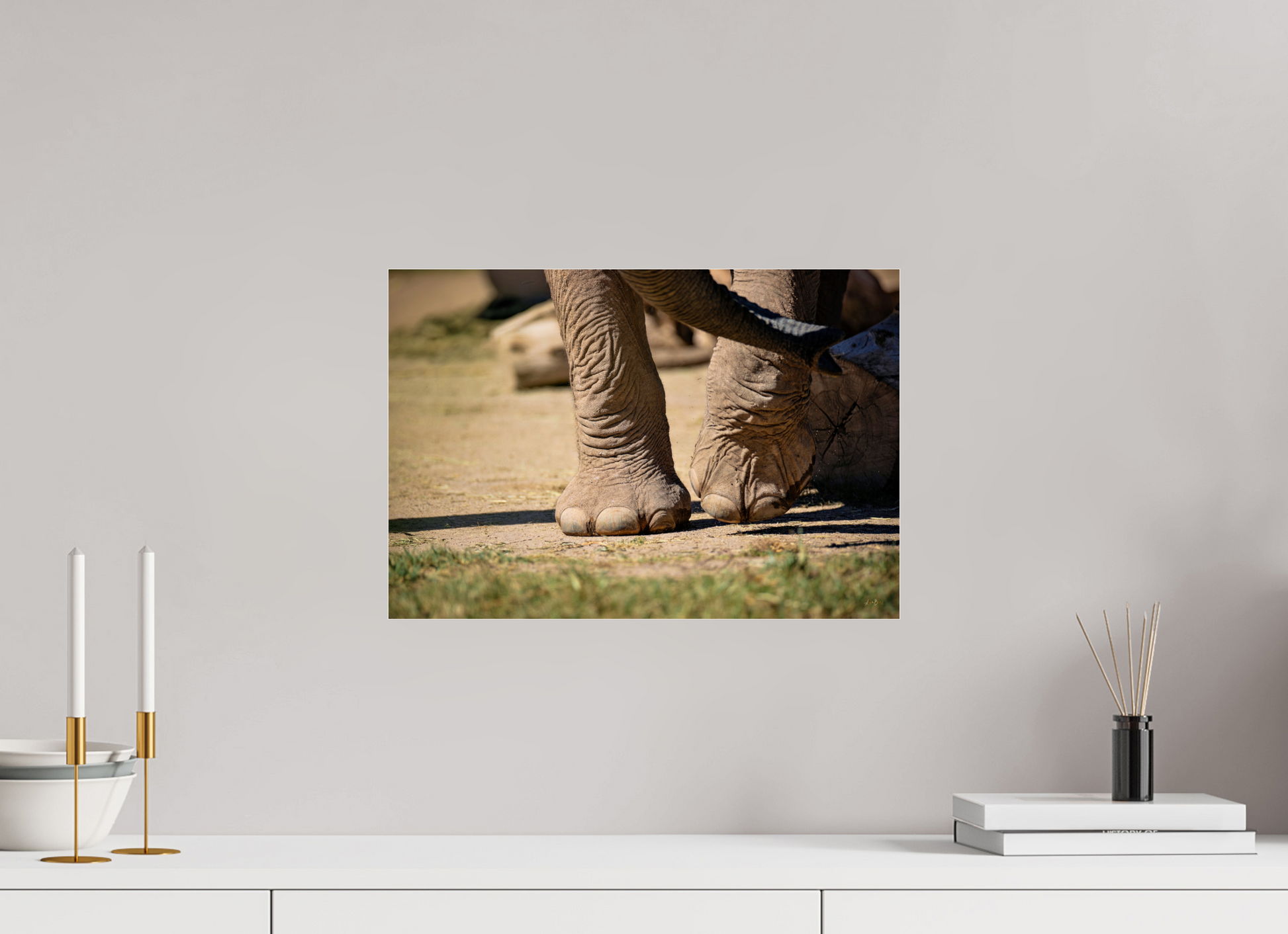 17.6 x 12″, Photo Print Under Acrylic Glass Ellie Struts