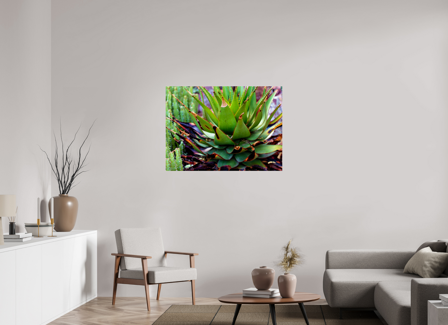 42.7 x 31″, Photo Print Under Acrylic Glass Cacti VI.2