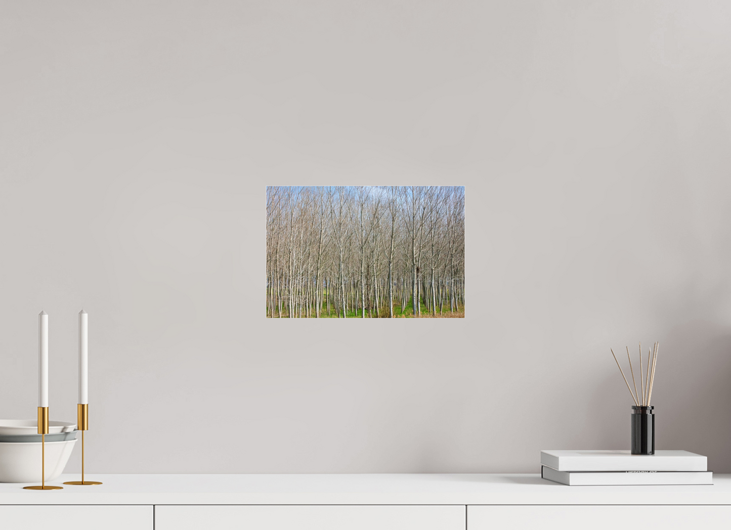 12 x 8″, Photo Print Under Acrylic Glass Treeline Italy