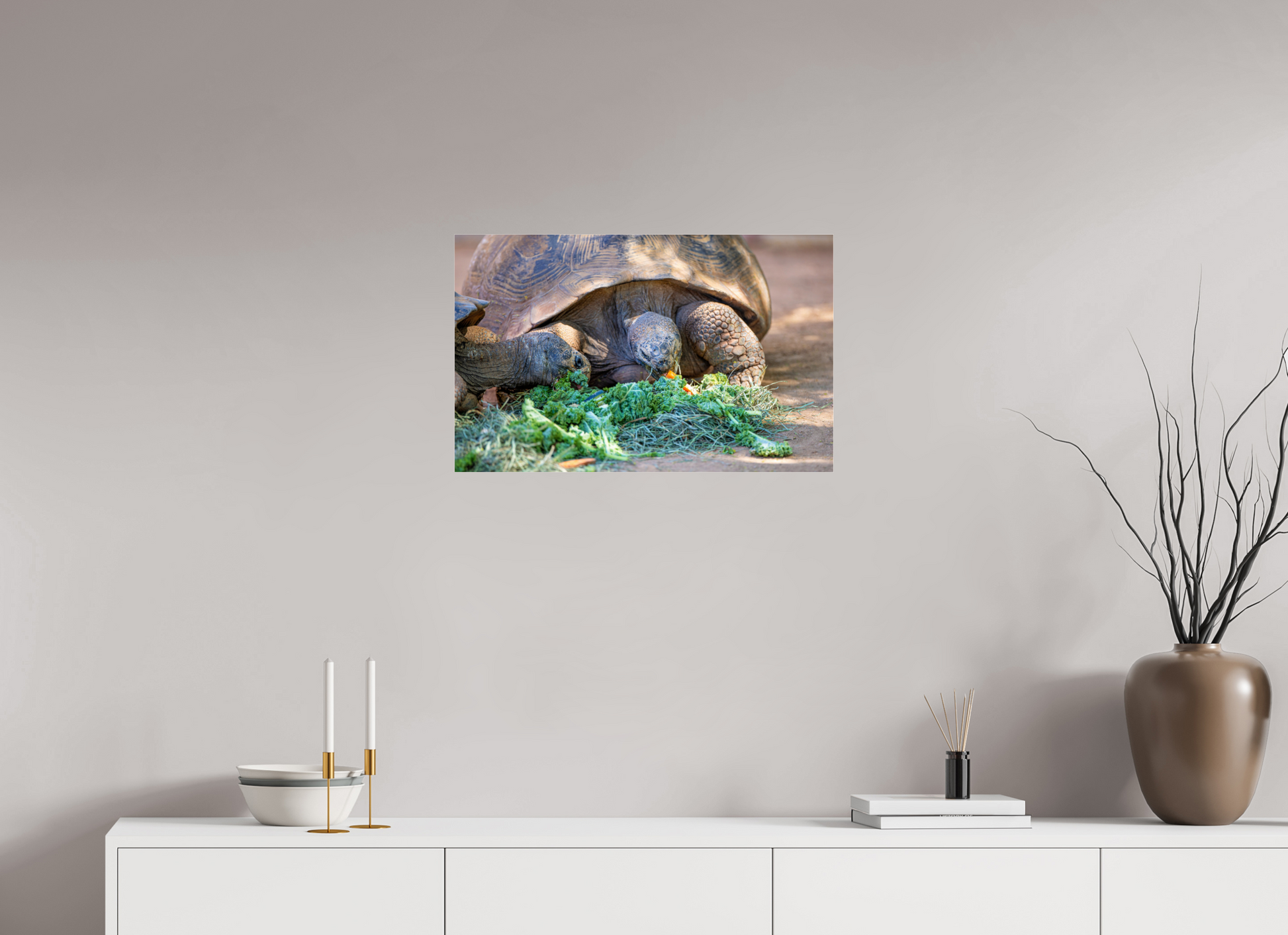 25.5 x 16″, Photo Print Under Acrylic Glass Eat Your Vegetables