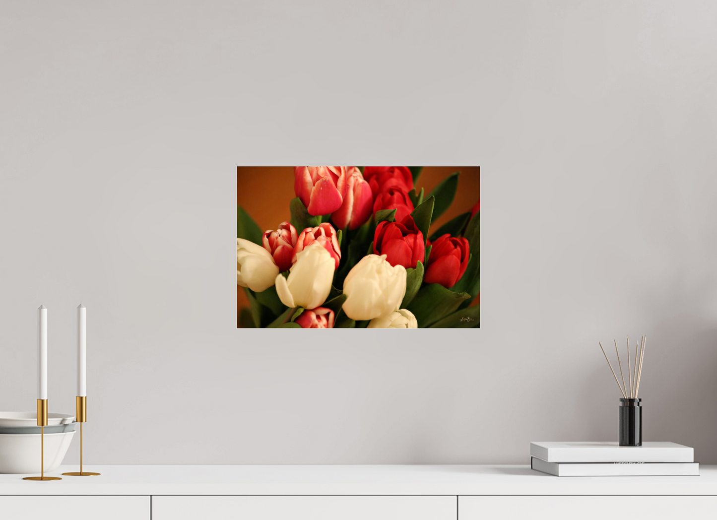 15 x 10″, Photo Print Under Acrylic Glass Tulips