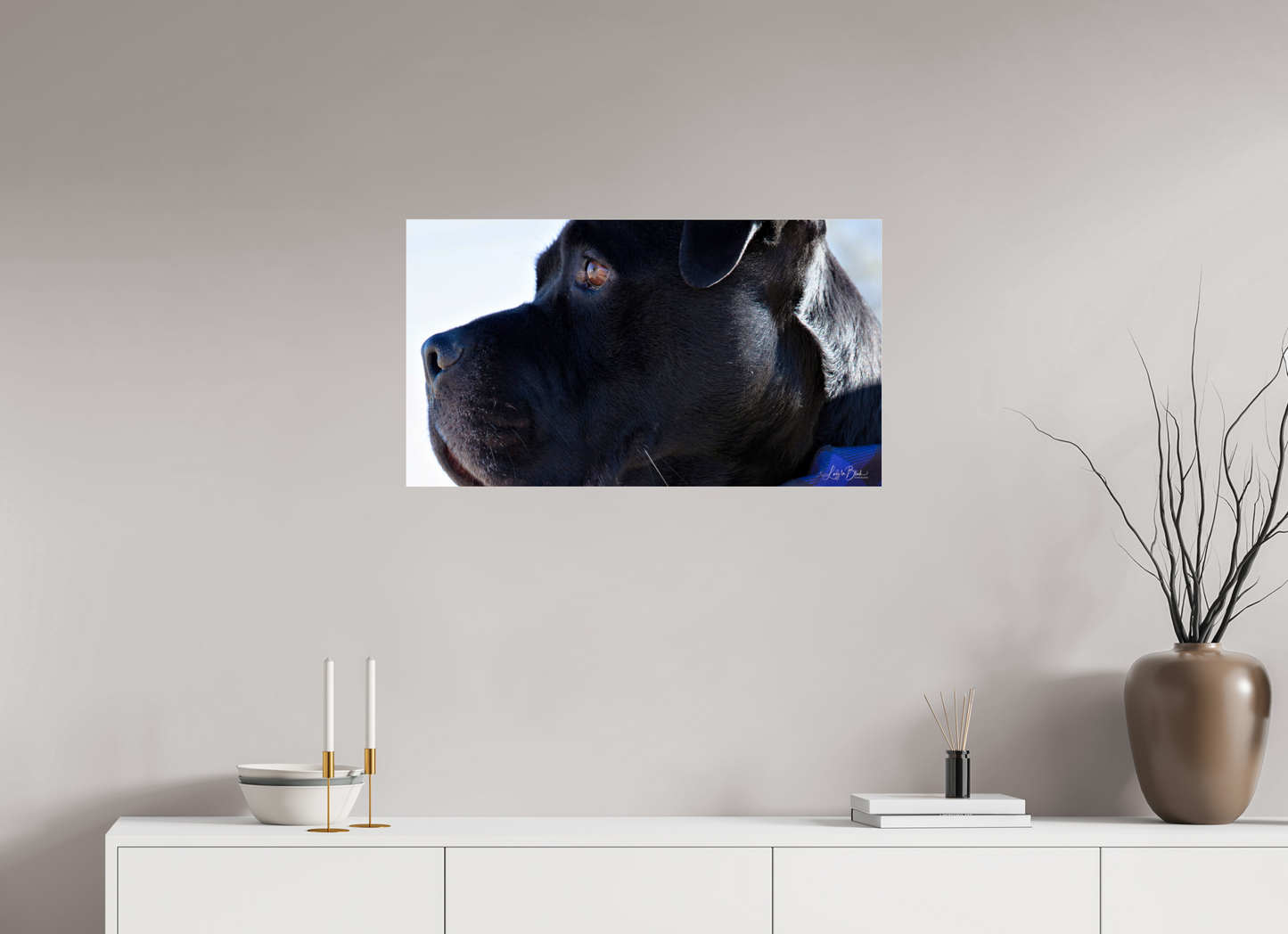 32 x 18″, Photo Print Under Acrylic Glass Leo