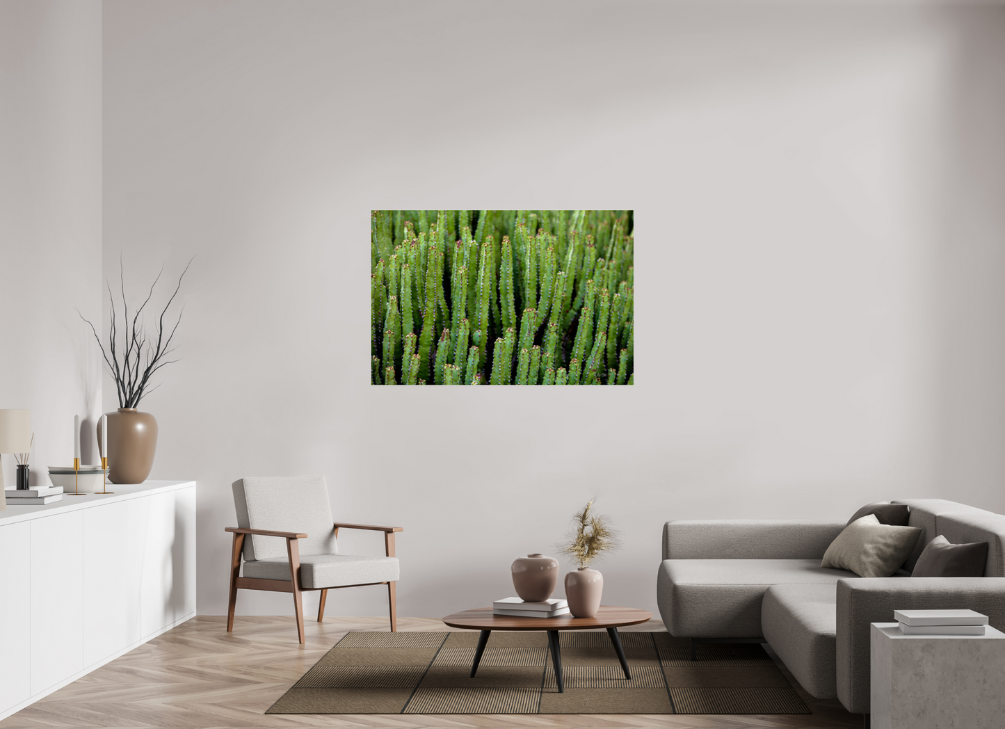 54 x 36″, Photo Print Under Acrylic Glass Cacti V