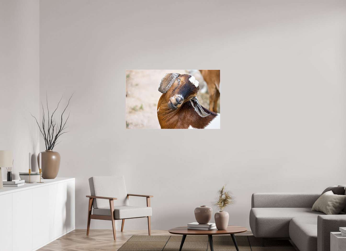 44.6 x 28″, Photo Print Under Acrylic Glass Goat Cheeeese