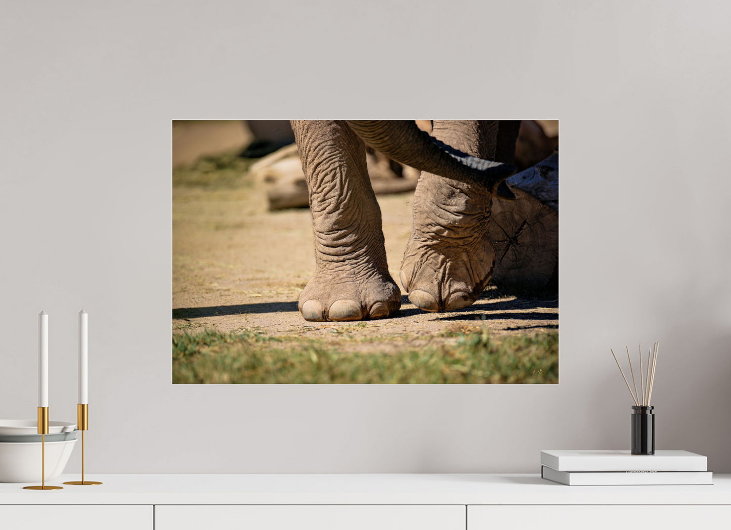 23.4 x 16″, Photo Print Under Acrylic Glass Ellie Struts