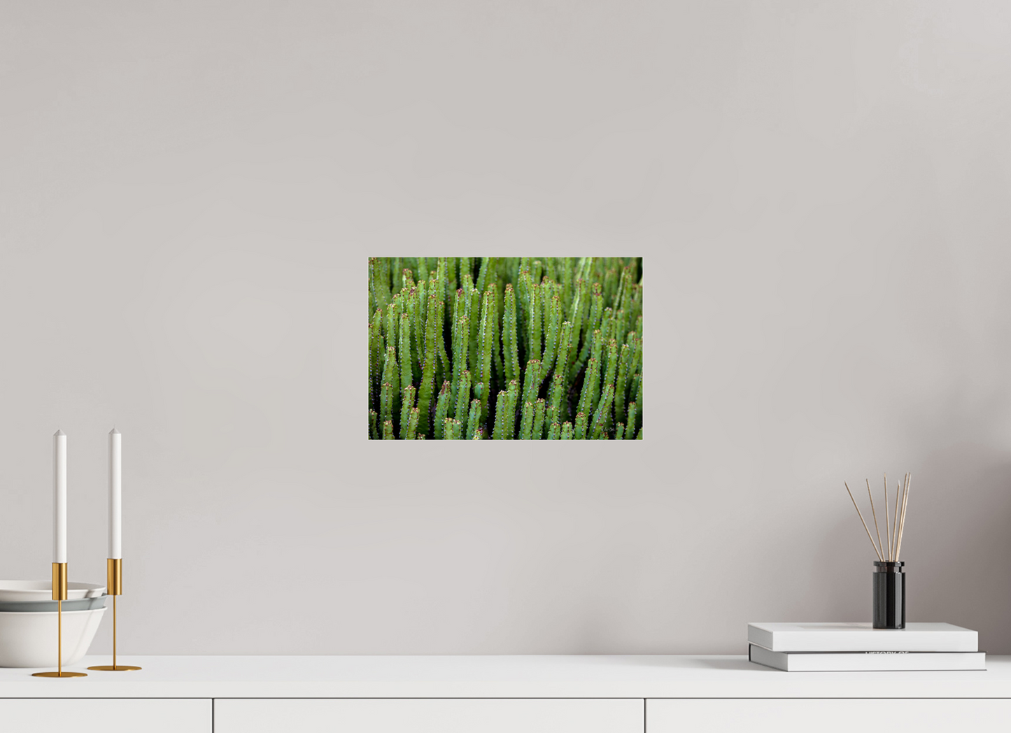 12 x 8″, Photo Print Under Acrylic Glass Cacti V