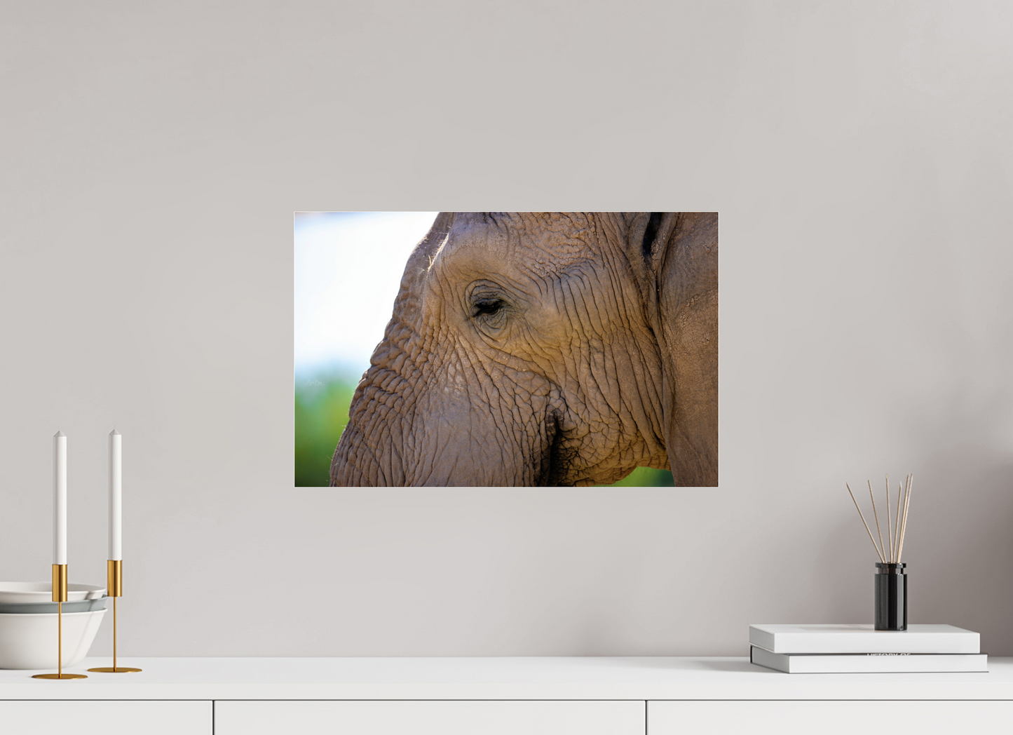 18.5 x 12″, Photo Print Under Acrylic Glass Ellie In Deep Thought