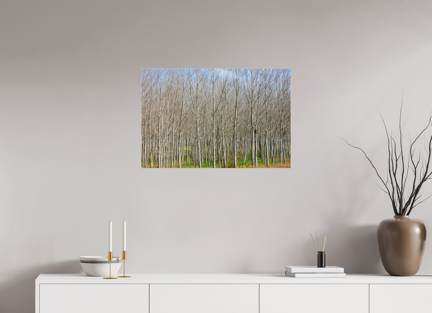 30 x 20″, Photo Print Under Acrylic Glass Treeline Italy