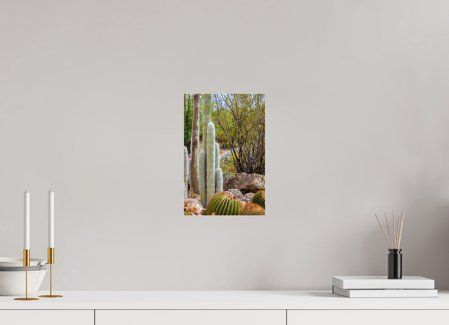 8 x 12″, Photo Print Under Acrylic Glass Cacti III