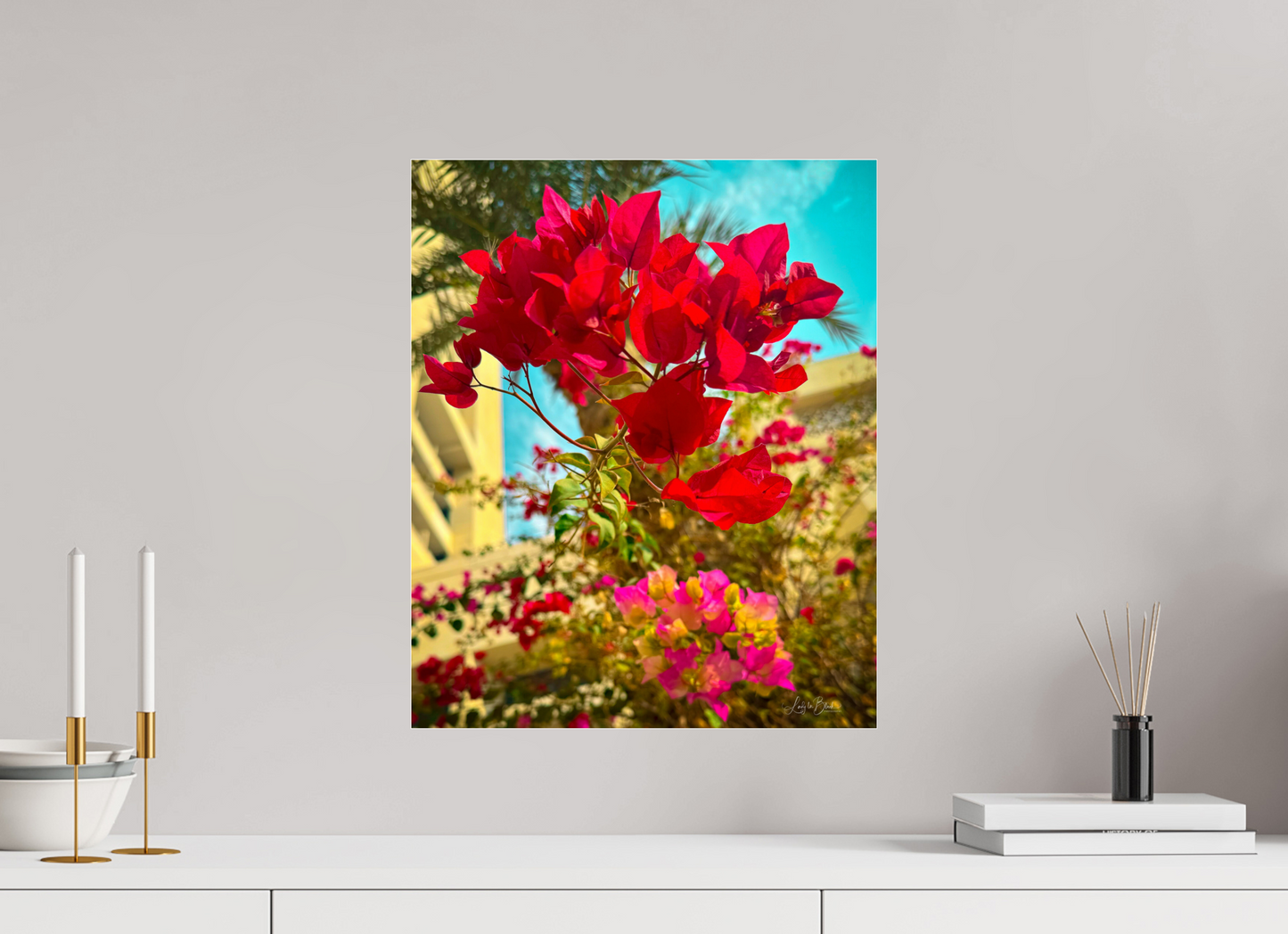 16 x 19.5″, Photo Print Under Acrylic Glass Gardens II