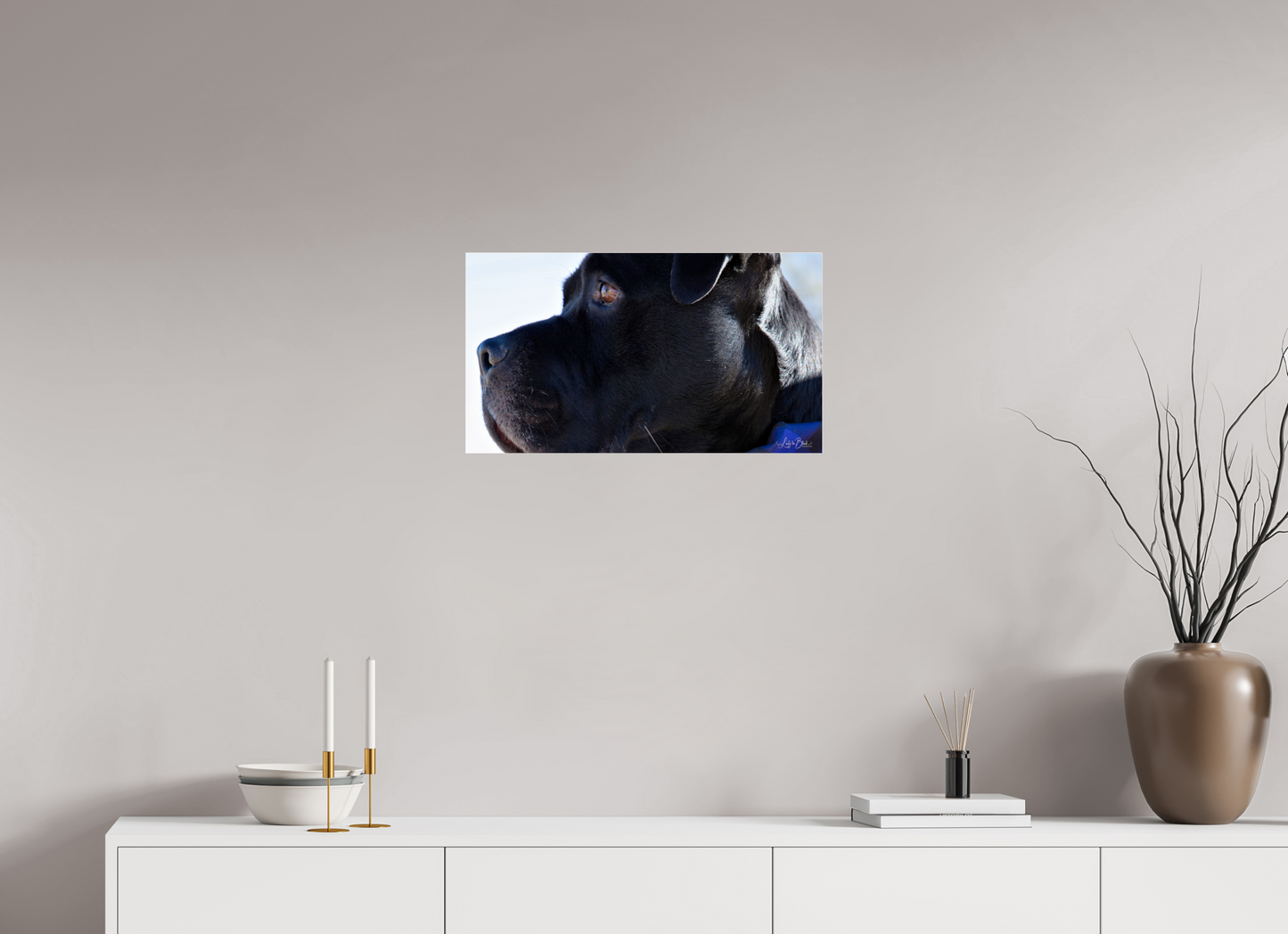 24 x 13.5″, Photo Print Under Acrylic Glass Leo