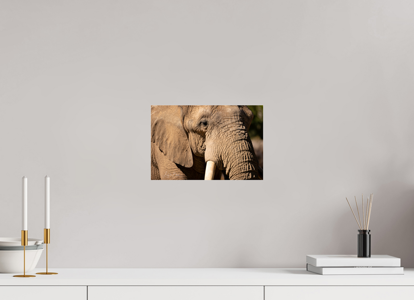 12 x 8″, Photo Print Under Acrylic Glass Ellie The Elephant