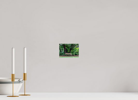 5.6 x 4″, Photo Print Under Acrylic Glass Gardens of Tokyo