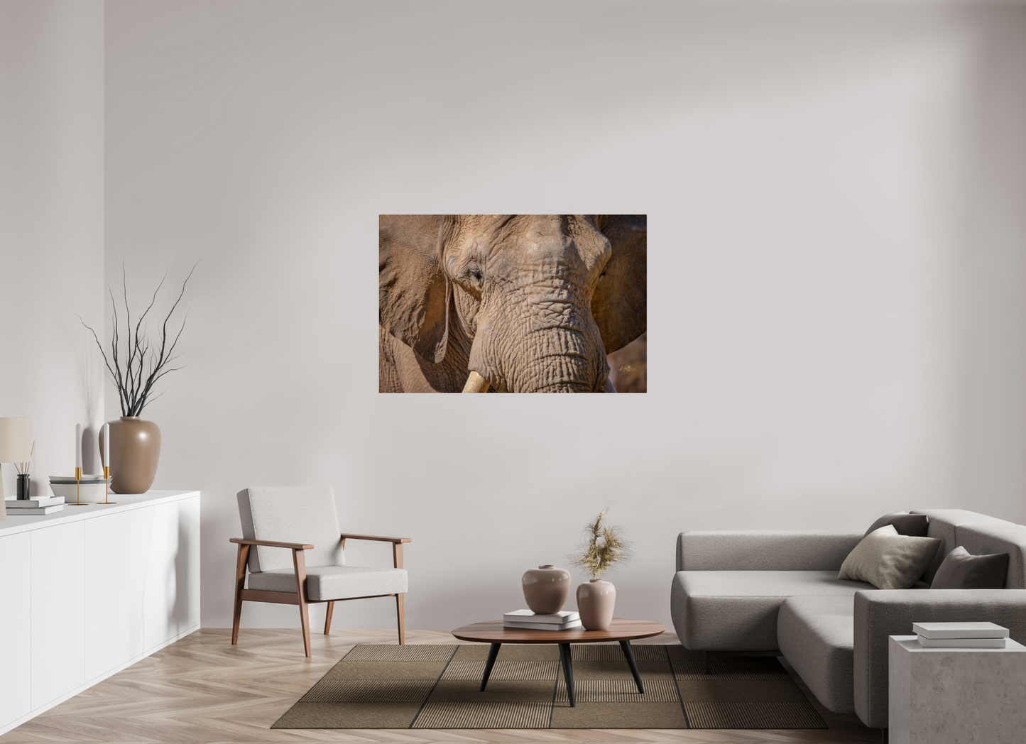 54 x 36″, Photo Print Under Acrylic Glass Ellie All Ears