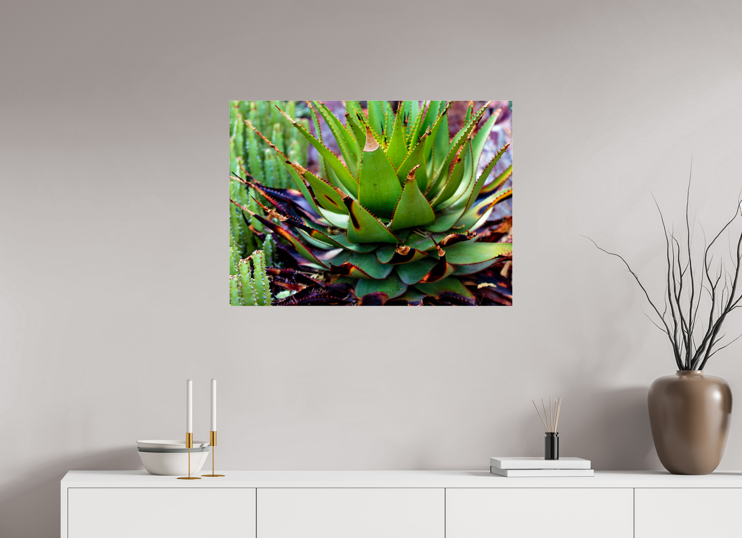 33.1 x 24″, Photo Print Under Acrylic Glass Cacti VI.2