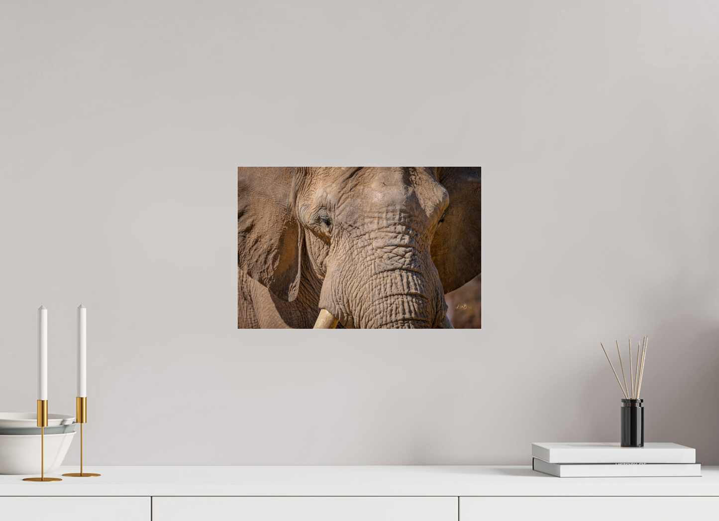 15 x 10″, Photo Print Under Acrylic Glass Ellie All Ears