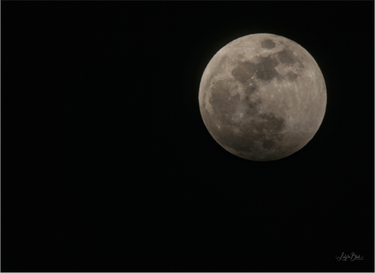 Main image Moon Before The Blood