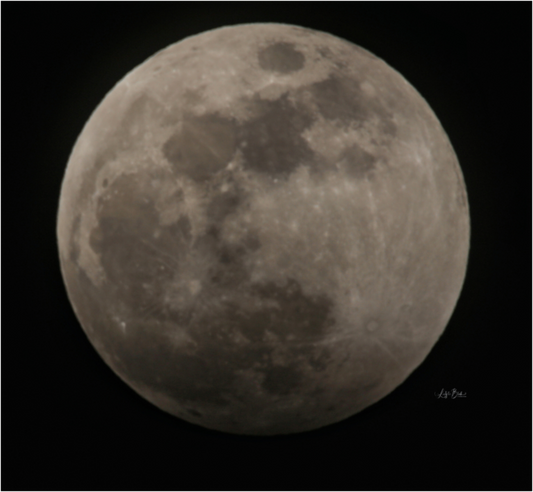 Main image Big Ole' Moon