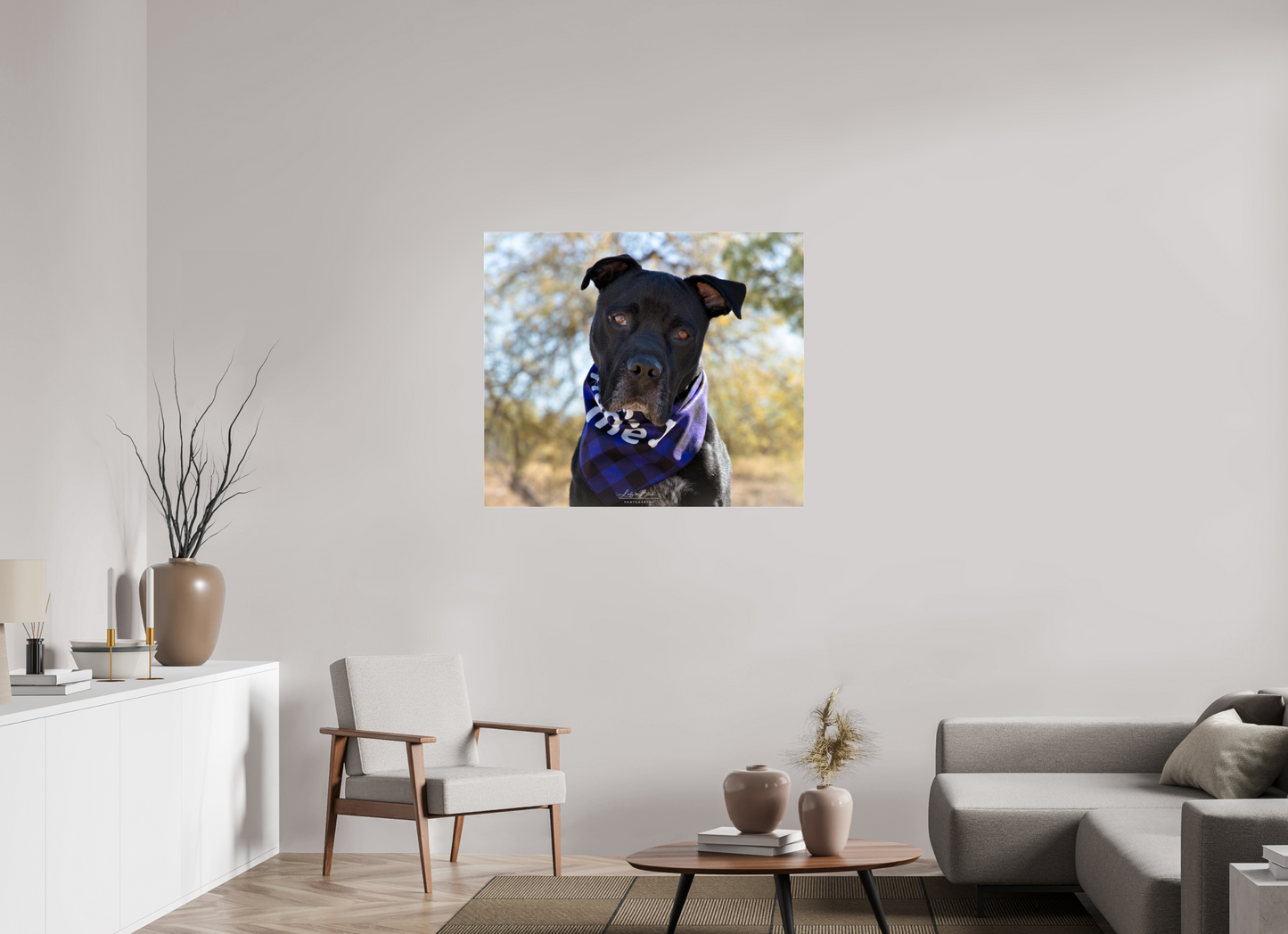 40.7 x 35″, Photo Print Under Acrylic Glass Please Visit Animal Shelters