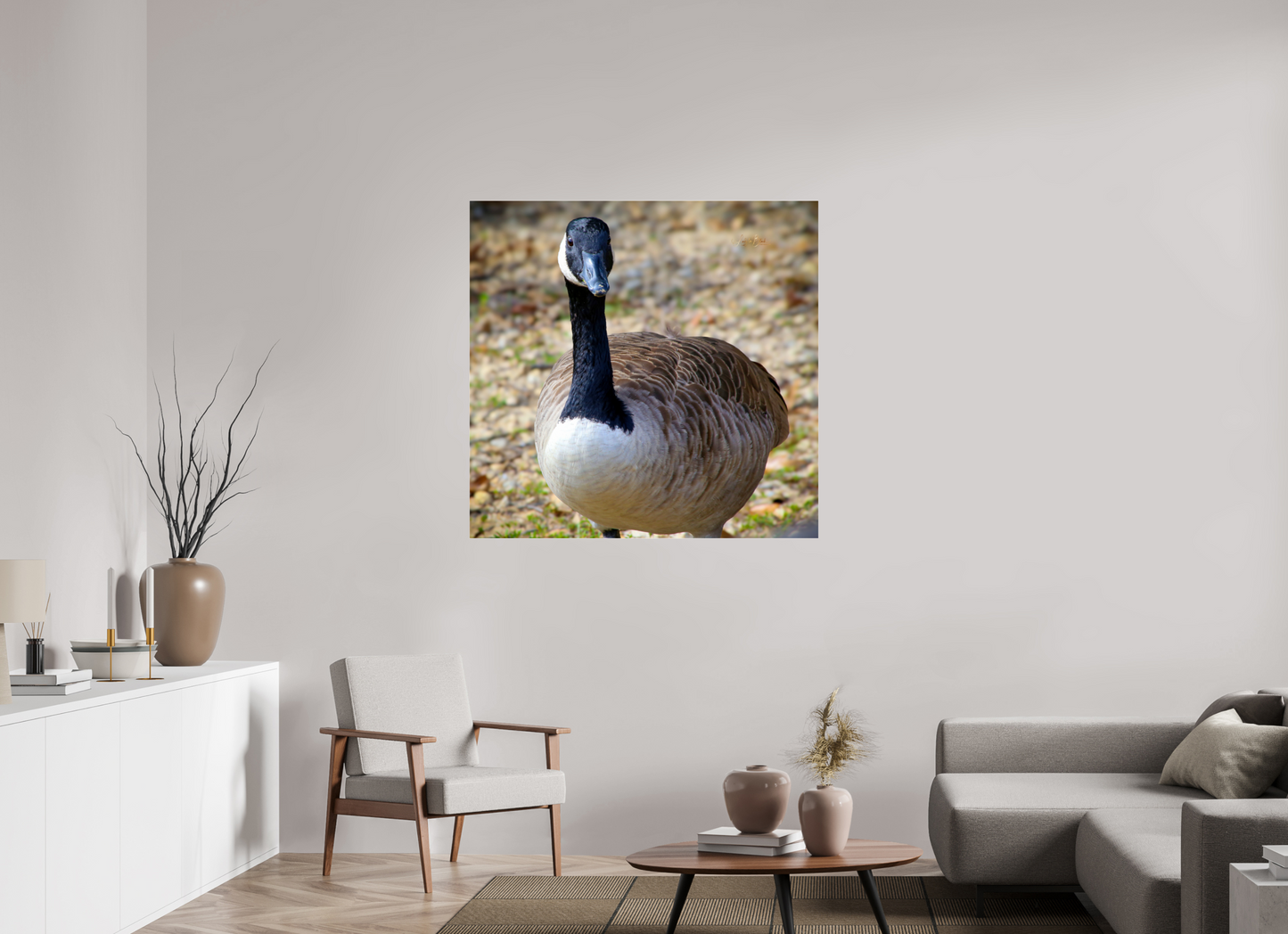 44.4 x 43″, Photo Print Under Acrylic Glass Lake Rim Goose