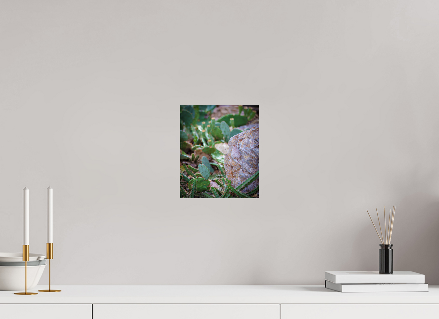 8 x 9.4″, Photo Print Under Acrylic Glass Cacti IV