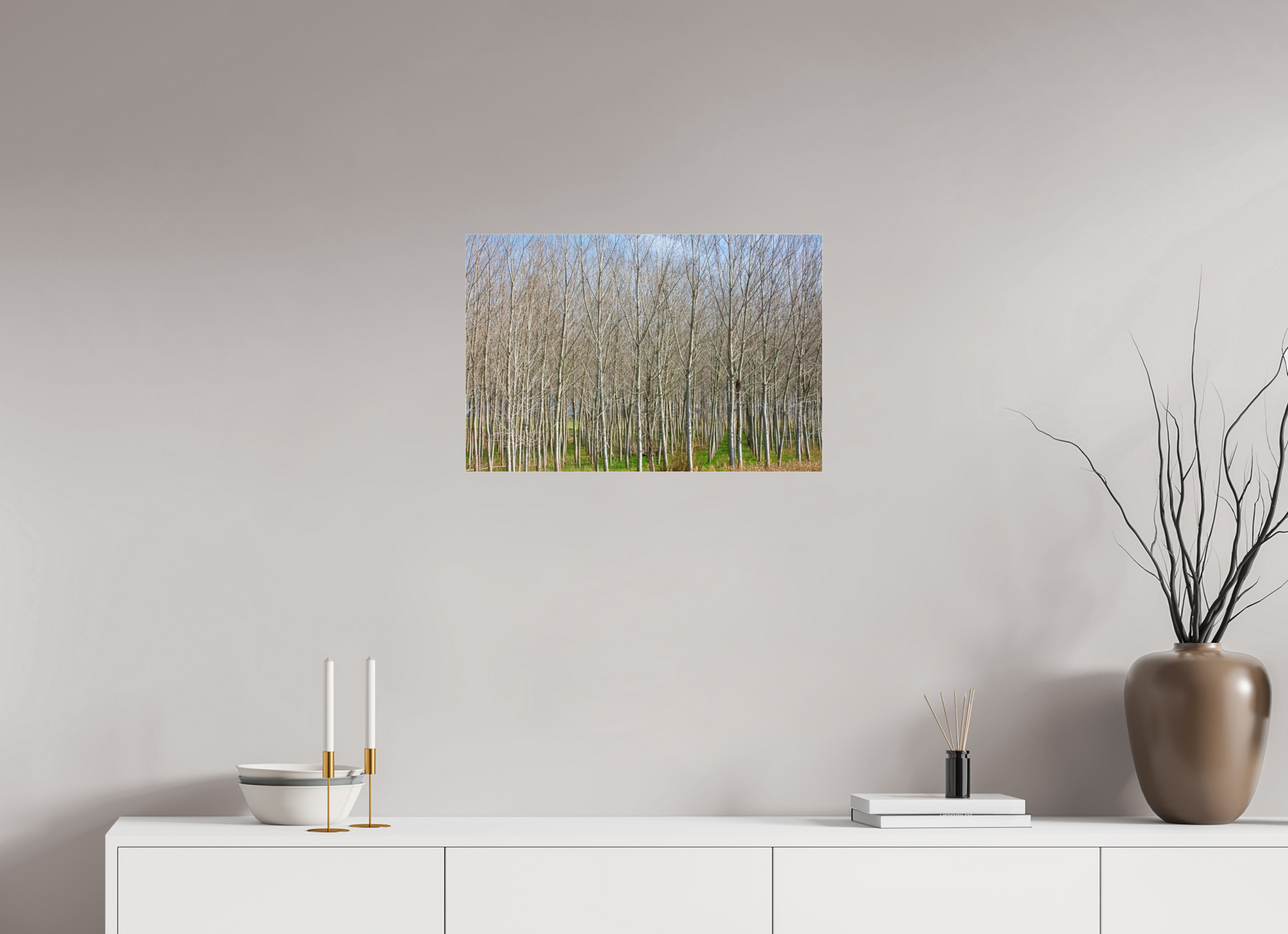 24 x 16″, Photo Print Under Acrylic Glass Treeline Italy