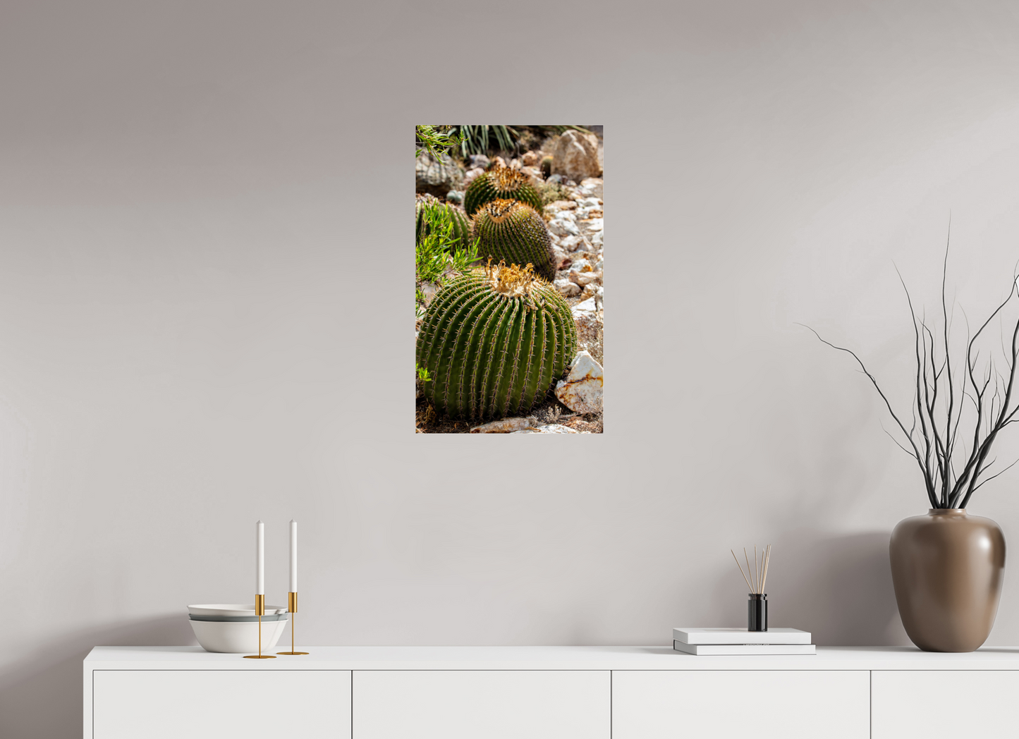 16 x 26.3″, Photo Print Under Acrylic Glass Cacti