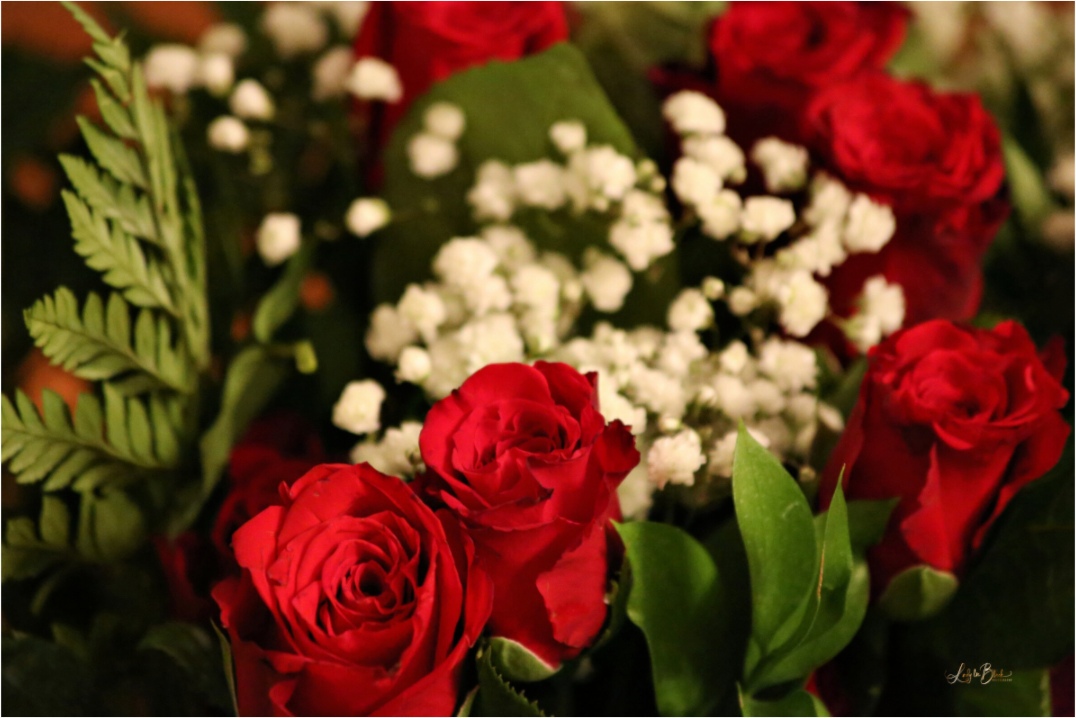 Main image Roses III