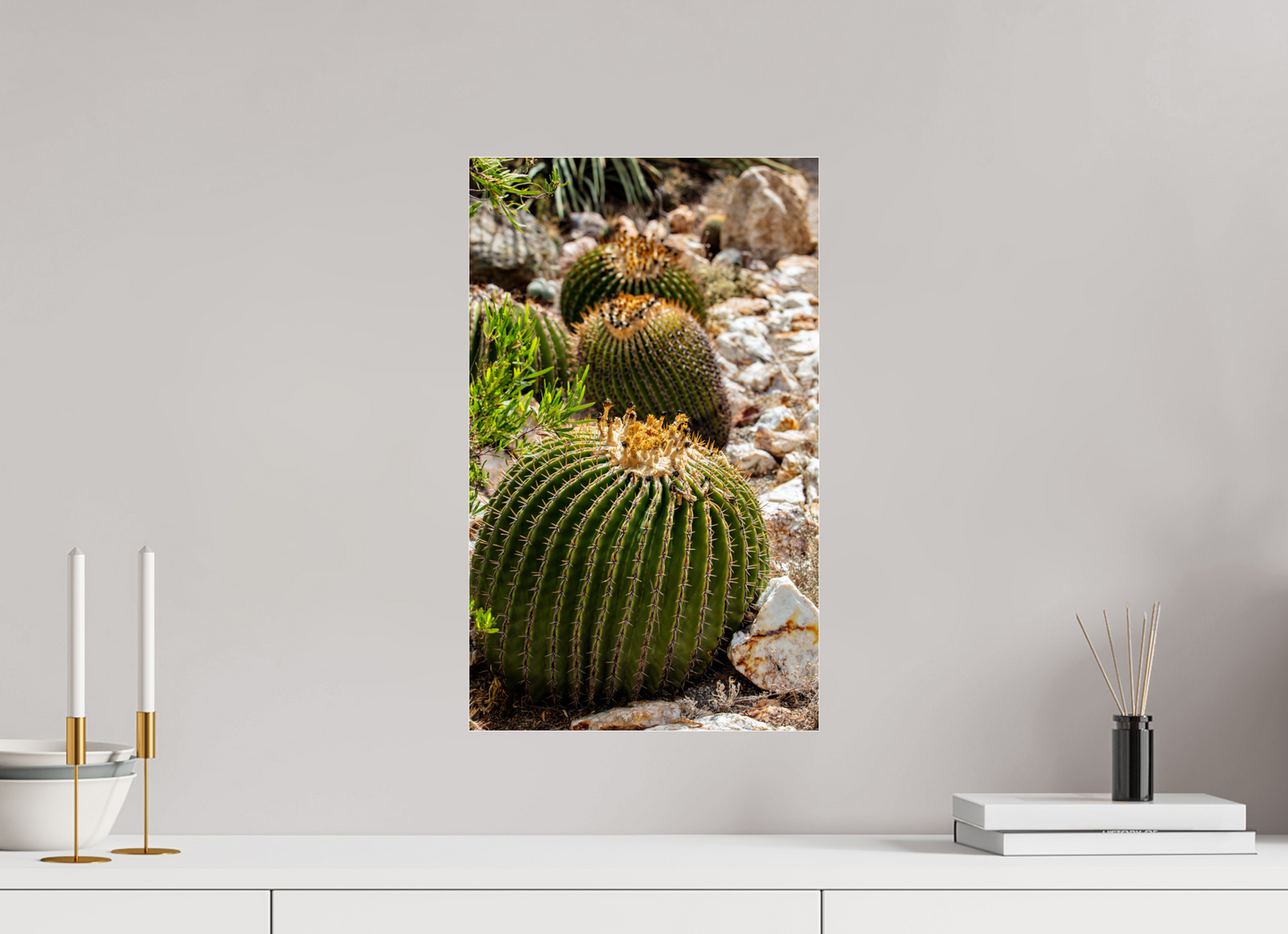 12 x 19.7″, Photo Print Under Acrylic Glass Cacti