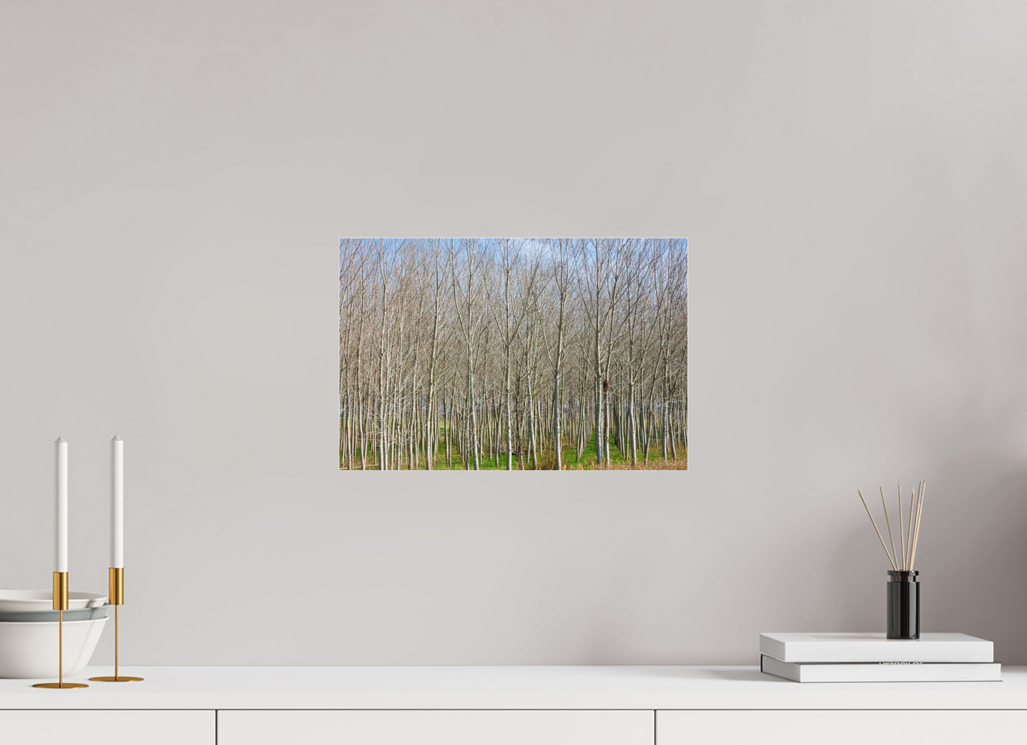 15 x 10″, Photo Print Under Acrylic Glass Treeline Italy