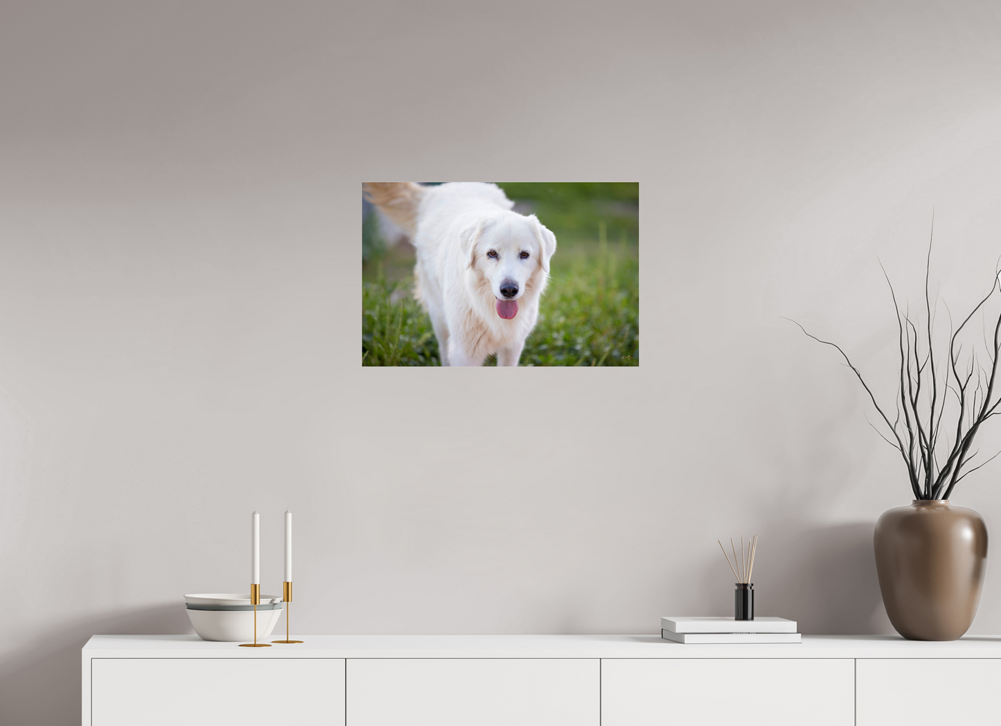 24 x 16″, Photo Print Under Acrylic Glass Sophie