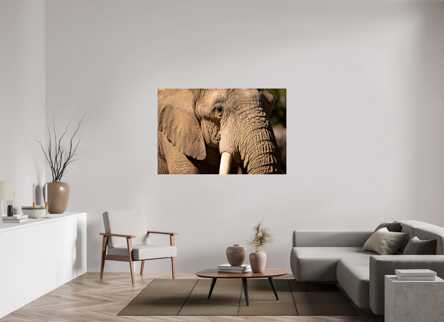 60 x 40″, Photo Print Under Acrylic Glass Ellie The Elephant