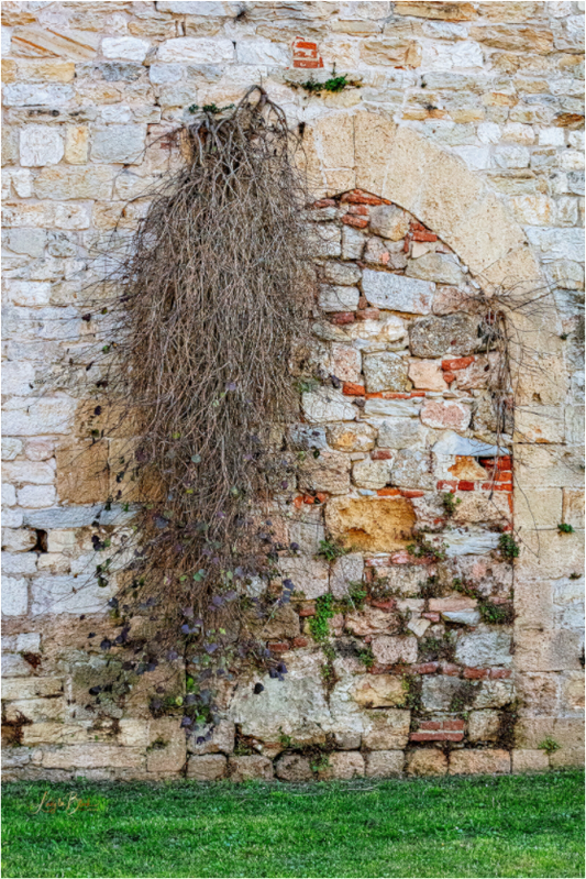 Main image City Wall of Pisa